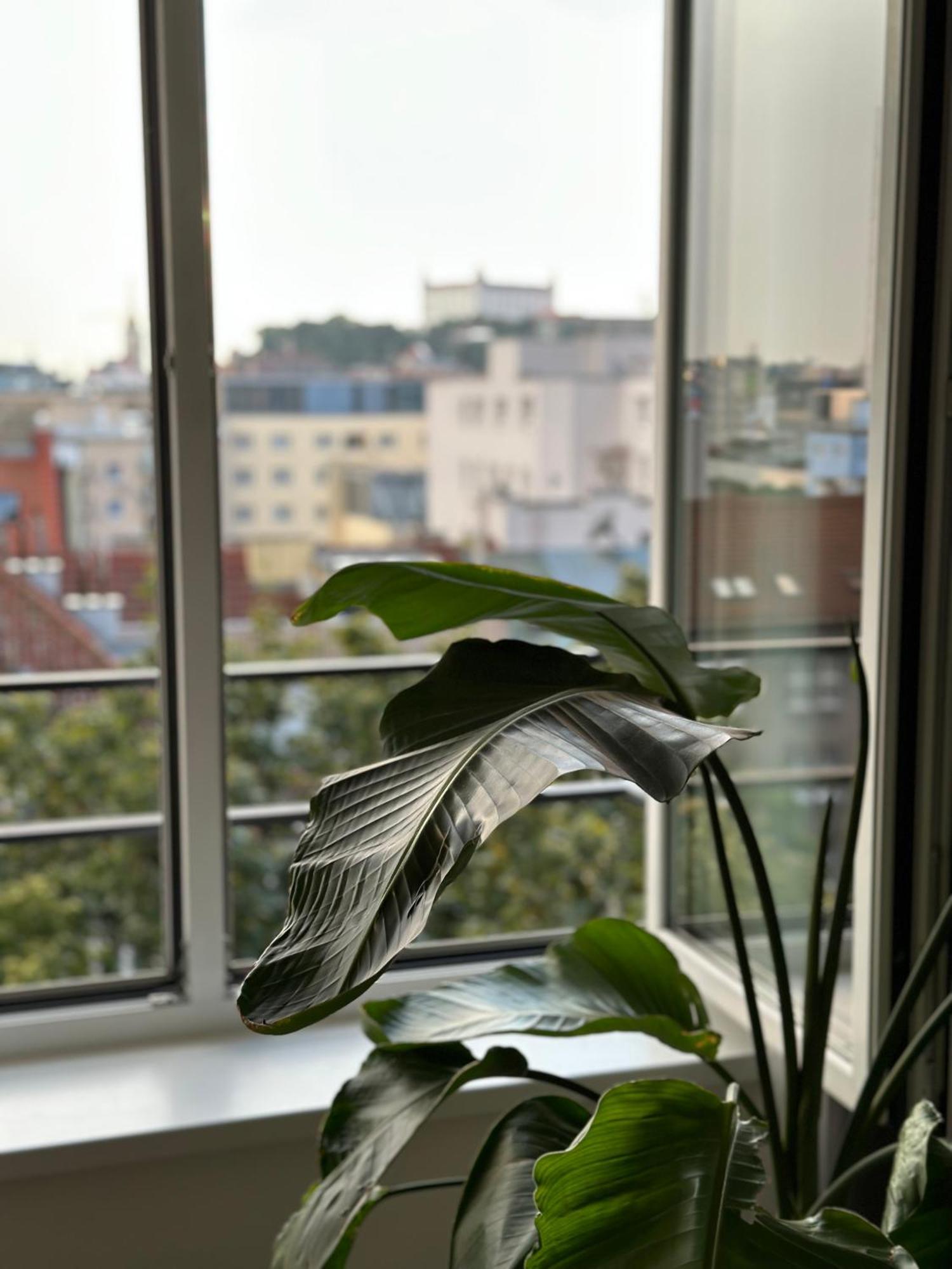 Urban Zenhouse No.2 - Breakfast Included Διαμέρισμα Μπρατισλάβα Εξωτερικό φωτογραφία